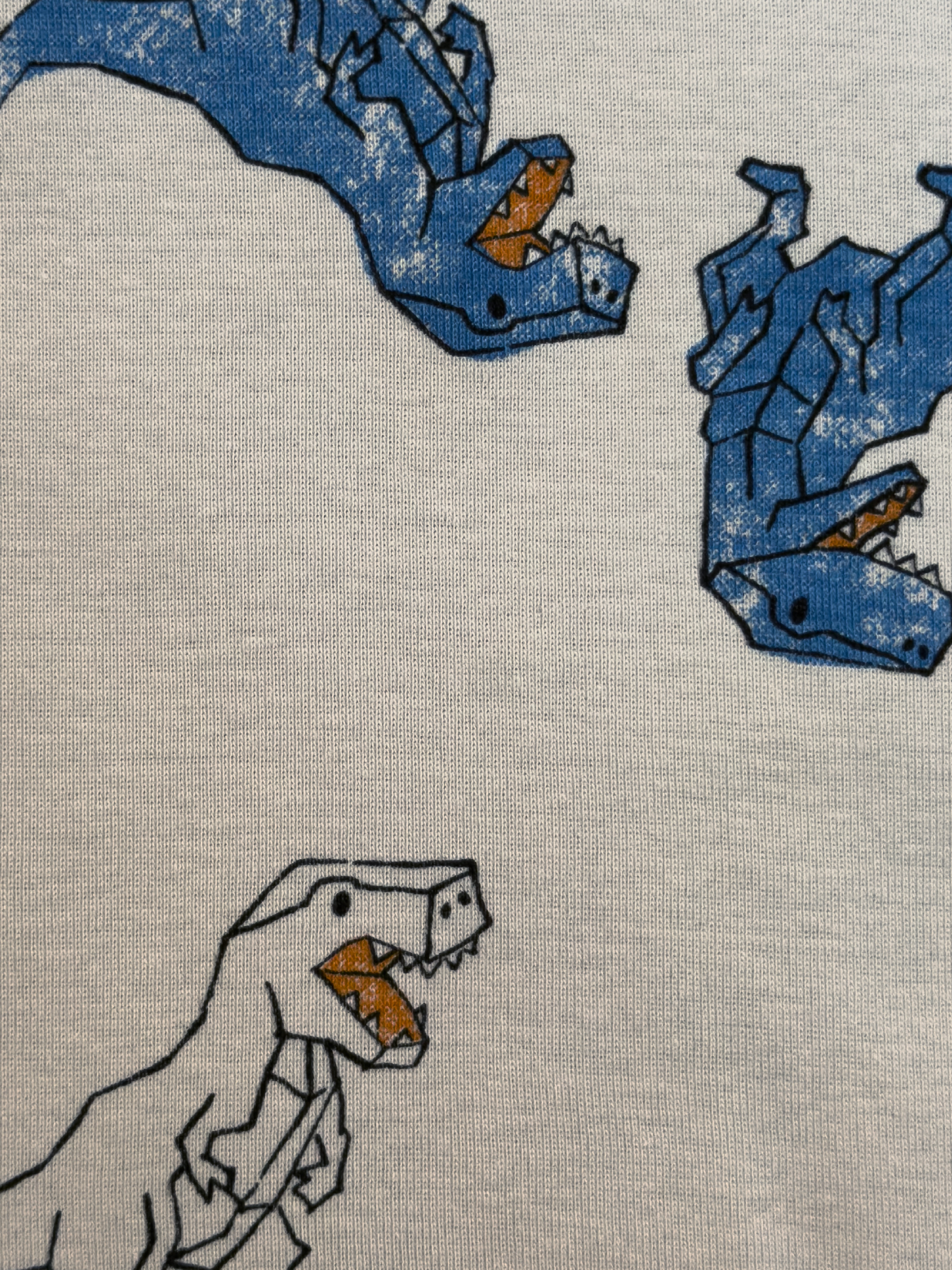 Dinosaur T-Rex Long Sleeve Pajama Set