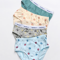 Super Squad Briefs (Pack of 4)