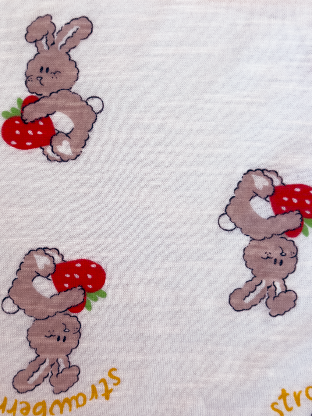 Bunny Loves Berries Long Sleeve Set
