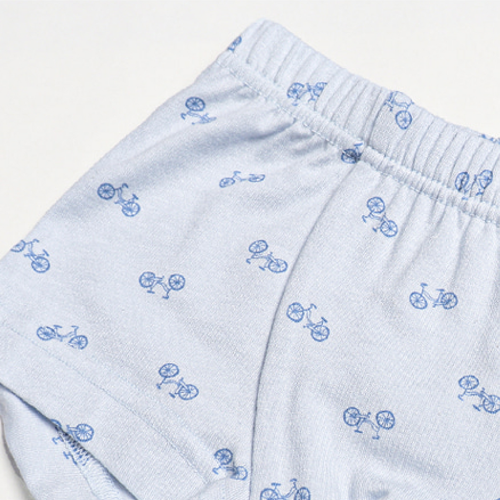 Boxer Briefs - Dinosaur