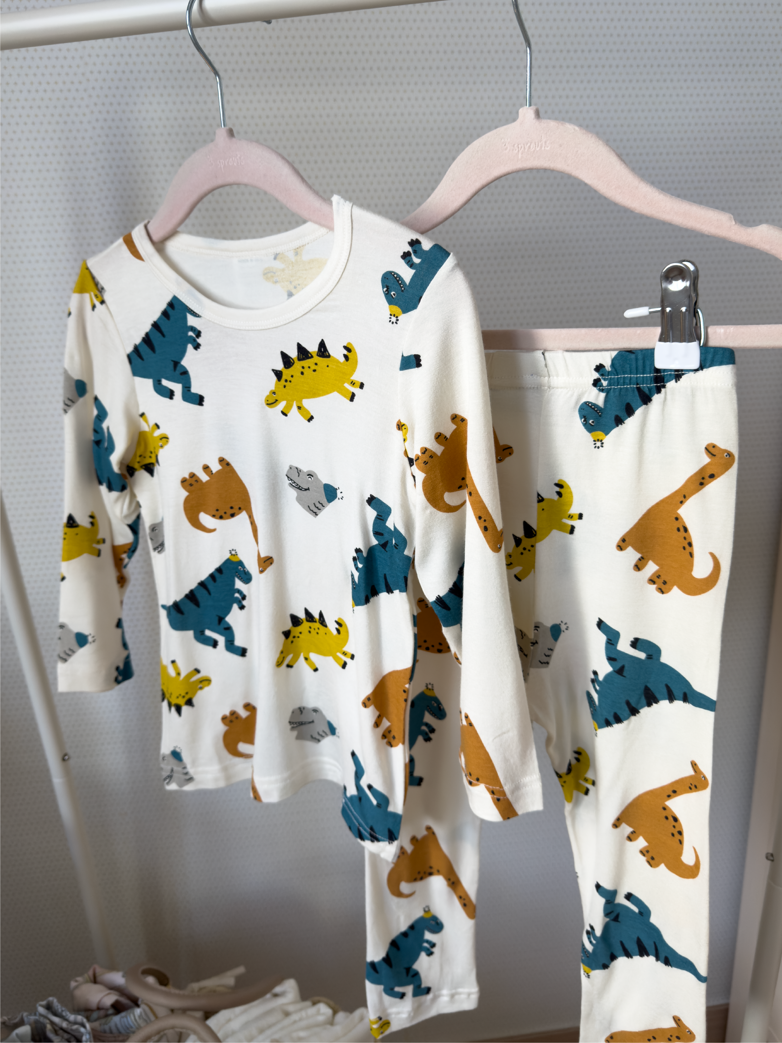 Dinosaur Assorted Long Sleeve Set