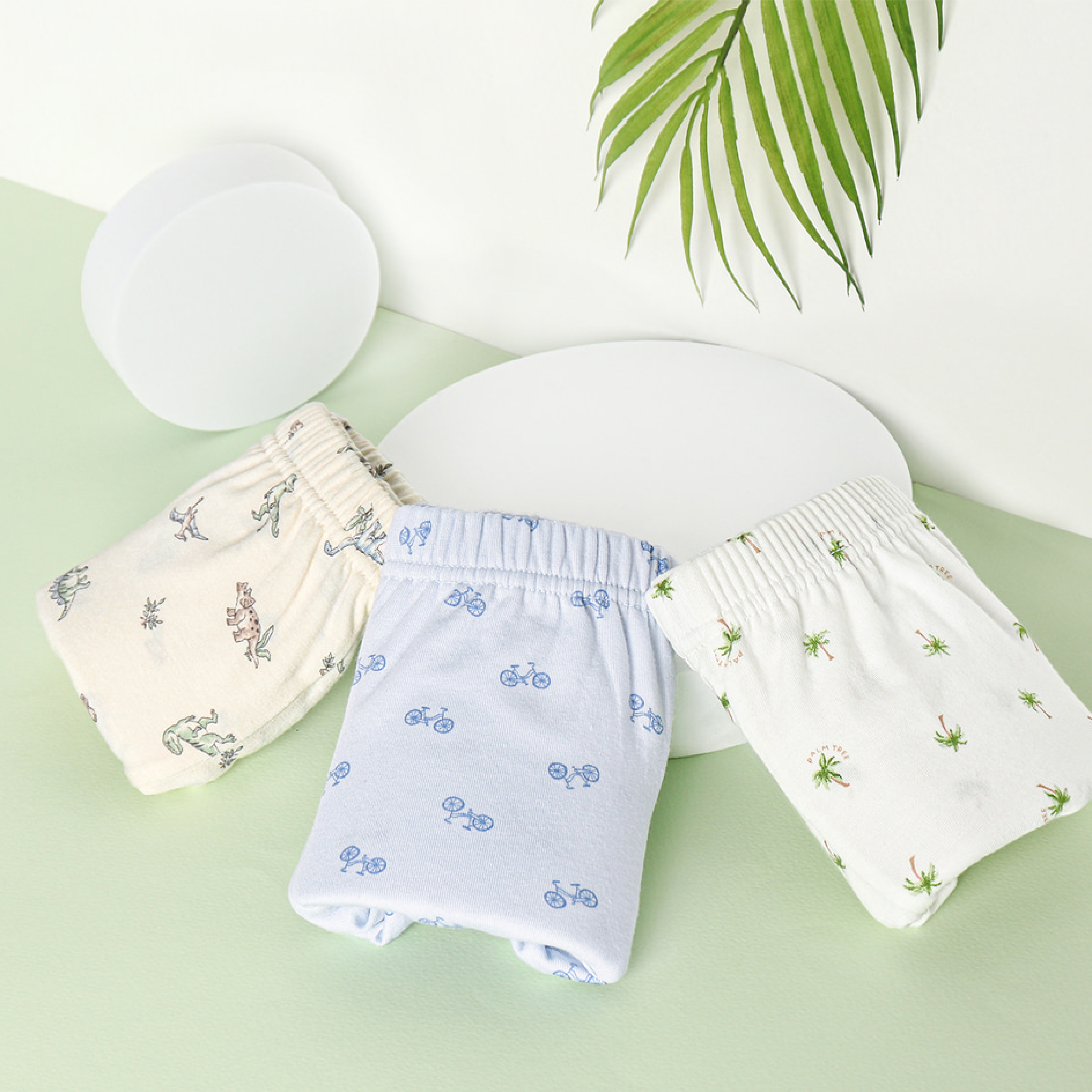 Boxer Briefs - Dinosaur