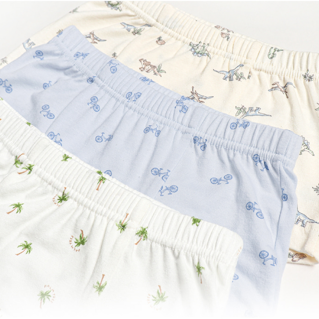 Boxer Briefs - Dinosaur