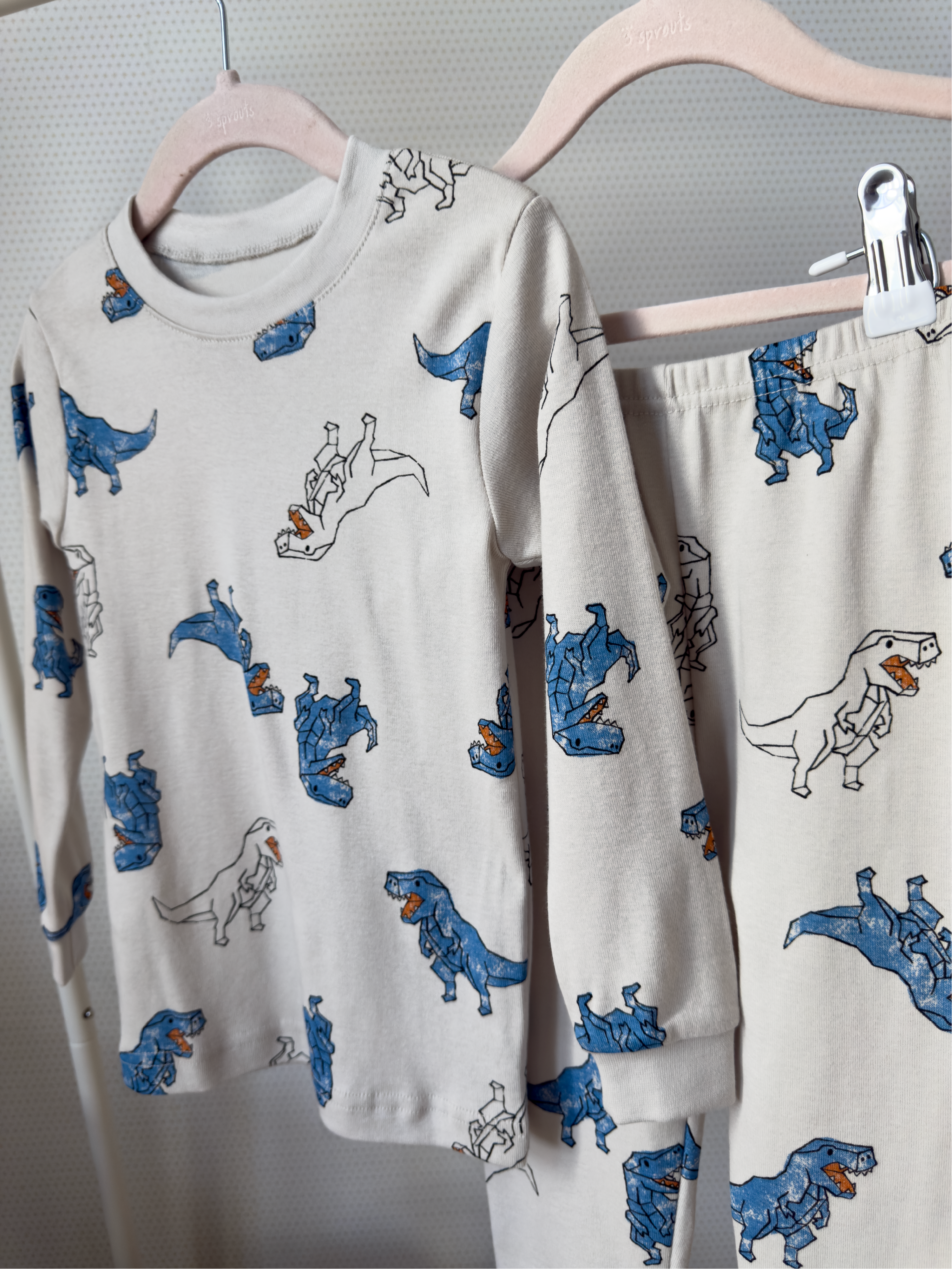 Dinosaur T-Rex Long Sleeve Pajama Set