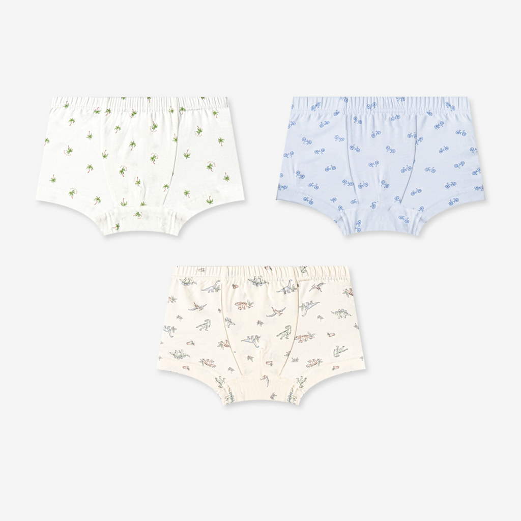 Boxer Briefs - Dinosaur