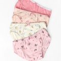 Princess Party Underwear (Pack of 4)