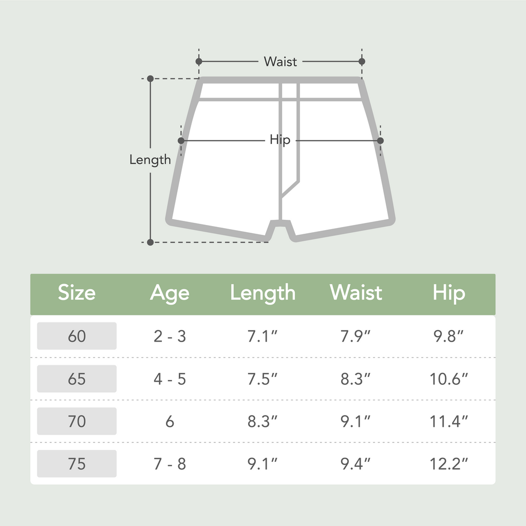 Boxer Briefs - Dinosaur