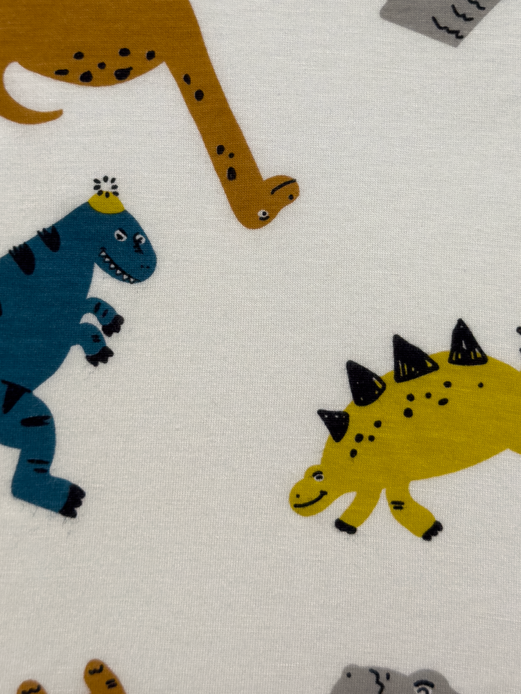 Little Dino Adventure Long Sleeve Set
