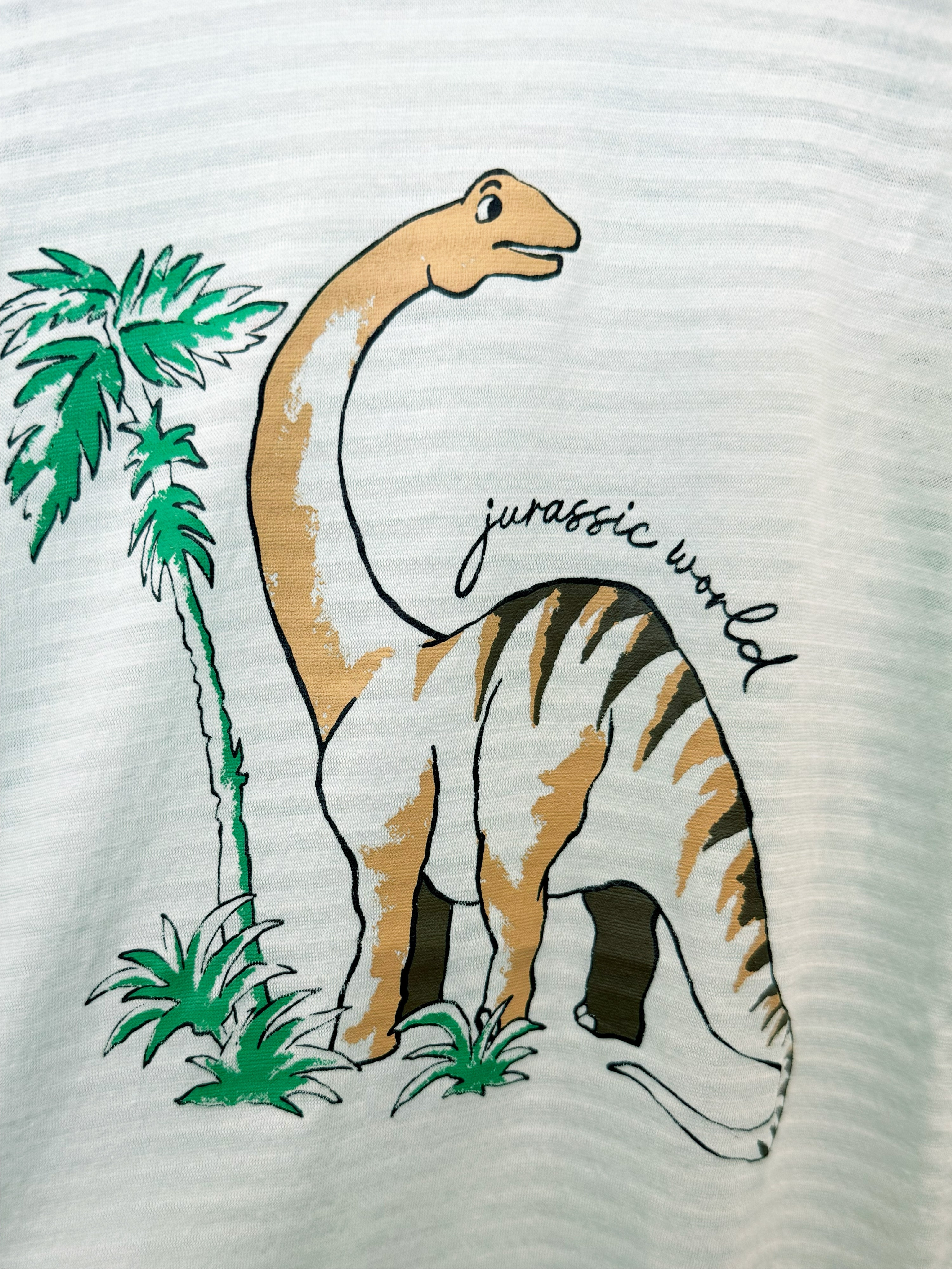 Gentle Giant Dino Short Sleeve Set