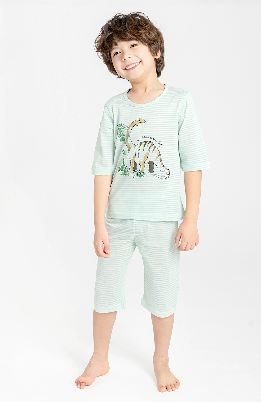 Gentle Giant Dino Short Sleeve Set